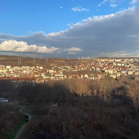 Malina 24