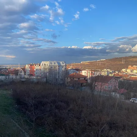 Malina 24 *